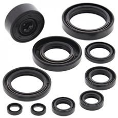SADA GUFER MOTORU WINDEROSA 822115