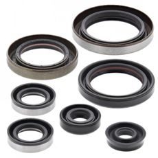 SADA GUFER MOTORU WINDEROSA 822186