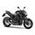 Kawasaki Z900 Metallic Spark Black / Metallic Graphite Gray 2023