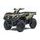 Kawasaki Brute Force750 4x4i EPS - Camo 2021