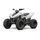 LINHAI ATV 110 White
