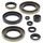 Sada gufer motoru WINDEROSA 822302