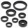 Sada gufer motoru WINDEROSA 822228