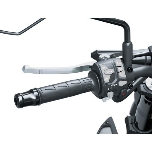 KAWASAKI Z900 CANDY PERSIMMON RED 2025