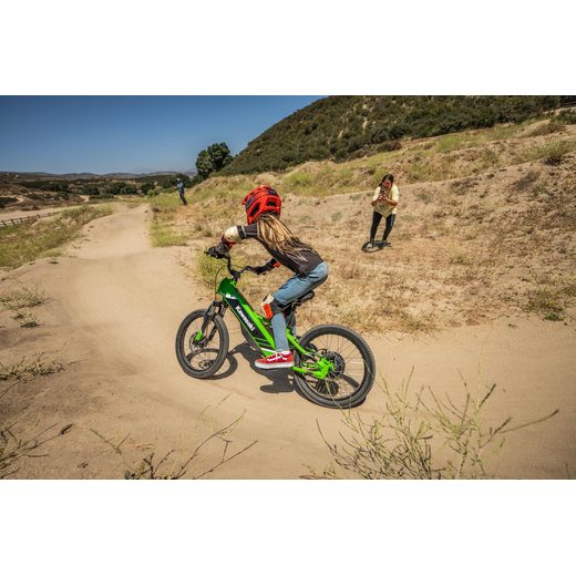 KAWASAKI ELEKTRODE 20