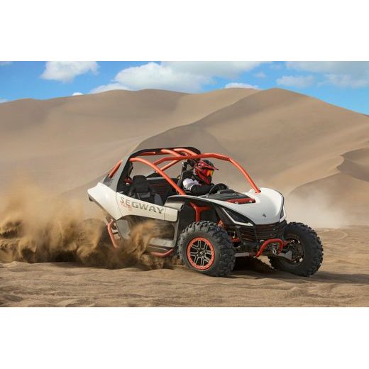 SEGWAY SSV VILLAIN SX10 X GRAY/GREEN