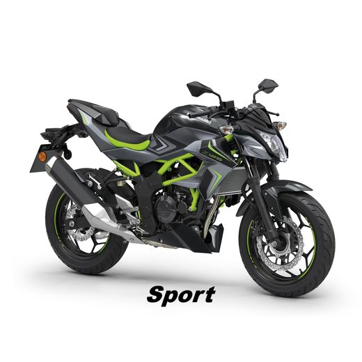 KAWASAKI Z125 PEARL STORM GRAY 2026