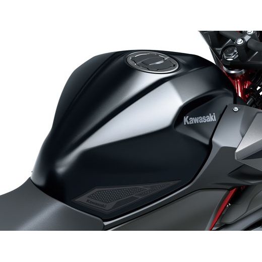 KNEE PADY PRO NINJA 500 & Z500