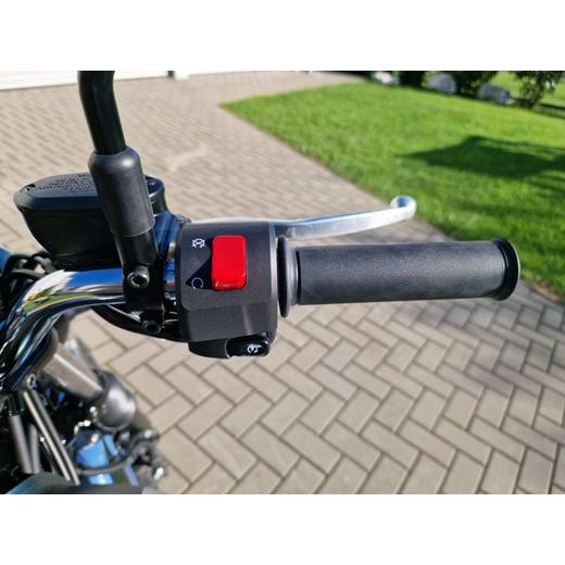 KAWASAKI W230 METALLIC MATTE DARK GREEN 2026