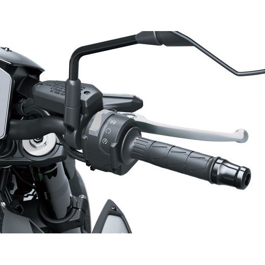 KAWASAKI Z900 CANDY PERSIMMON RED 2025