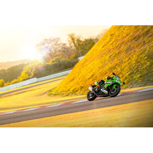 KAWASAKI NINJA ZX-4RR LIME GREEN 2025