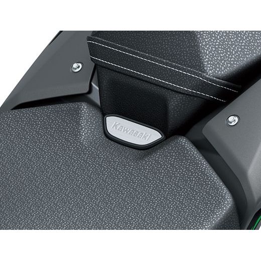 KAWASAKI Z900 CANDY PERSIMMON RED 2025