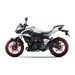 KAWASAKI Z500 SE PEARL BLIZZARD WHITE 2026