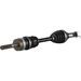 OSA ALL BALLS RACING AB6-CA-8-335 6BALL