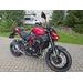 KAWASAKI Z900 CANDY PERSIMMON RED 2027