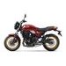 KAWASAKI Z650RS CANDY MEDIUM RED 2024 - MODERN CLASSIC KAWASAKI - MOTOCYKLY