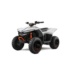 CF MOTO EV110