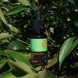 BEVIRO, BEARD OIL SUMMER LIME - STAROSTLIVOSŤ O BRADU