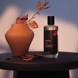 BEVIRO, REFRESH & RESTORE AFTERSHAVE LOTION 1918 - HOLENIE