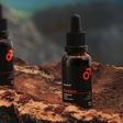 BEVIRO, BEARD OIL ŠUMAVA - STAROSTLIVOSŤ O BRADU