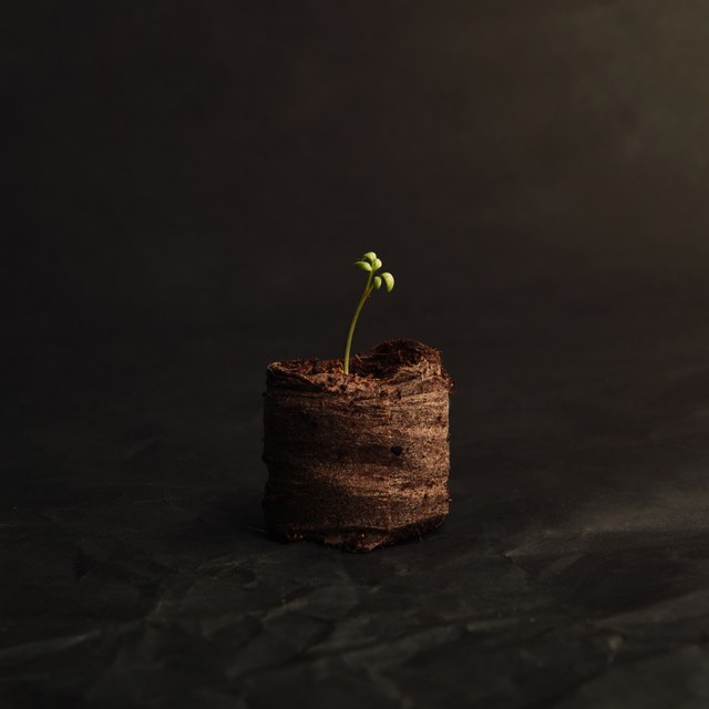 BEVIRO, NATURAL BEARD BOOSTER - PÉČE O VOUSY