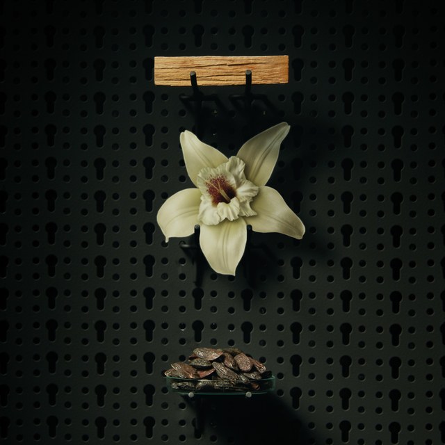 BEVIRO, BEARD BALM HONKATONK VANILLA - PÉČE O VOUSY