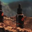 BEVIRO, BEARD OIL ŠUMAVA - BEARD