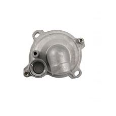 COMPLETE WATER PUMP RMS 100110640