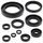 Sada gufier motoru WINDEROSA 822122