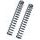 Fork springs kit BITUBO linear K=0.60 (+2 Lt. Oil)