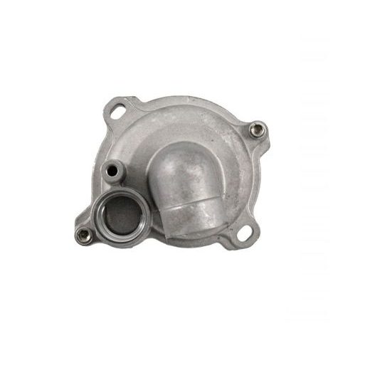 COMPLETE WATER PUMP RMS 100110640