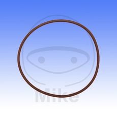 TĚSNĚNÍ HLAVY VÁLCE ATHENA M752006300094 MALÝ 2X63 MM