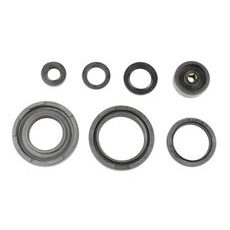 SADA GUFER MOTORU ATHENA P400485400253