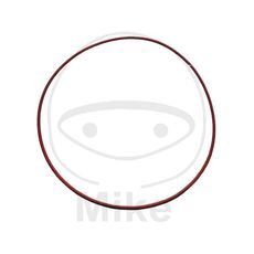 TĚSNĚNÍ HLAVY VÁLCE ATHENA M752009500074 VNĚJŠÍ 2X95 MM