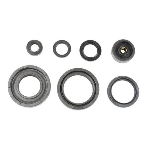 SADA GUFER MOTORU ATHENA P400485400253
