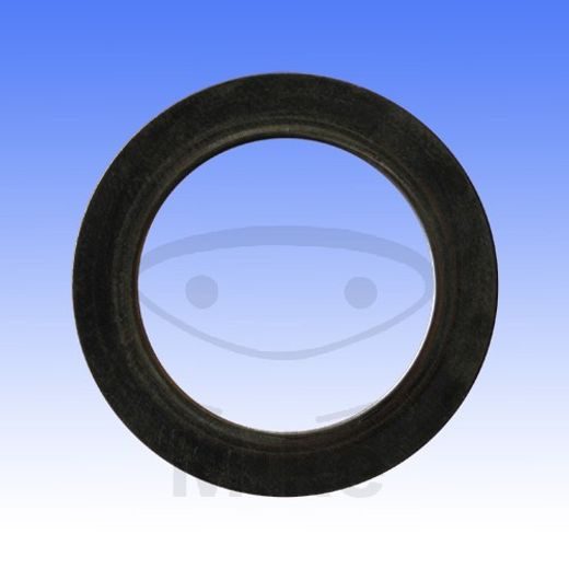 TĚSNĚNÍ SVODU VÝFUKU ATHENA S410190012012 28X41X2.5 MM