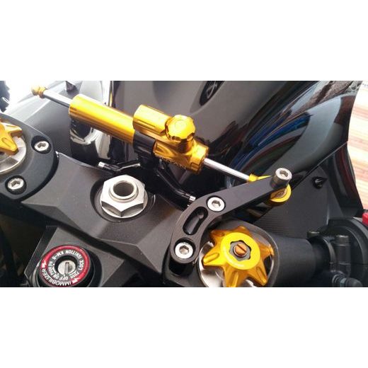 ZZR 1400 - KOMPLETNÍ SADA TLUMIČE ŘÍZENÍ