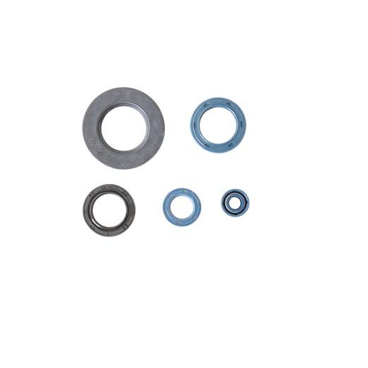 SADA GUFER MOTORU ATHENA P400120400030