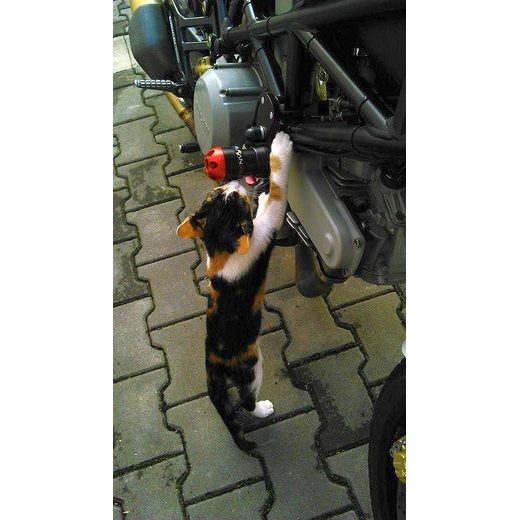 PROTEKTORY NA RÁM SLIDER - DUCATI MONSTER 1000 I.E. - 03-08