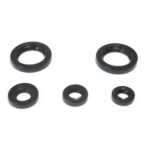 SADA GUFER MOTORU ATHENA P400270400060