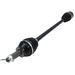 OSA ALL BALLS RACING AB6-PO-8-101 6BALL