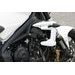 PROTEKTORY NA RÁM CLASIC - TRIUMPH STREET TRIPLE 675 - 08-12