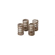 VALVE SPRING KIT HOT CAMS VSK4001