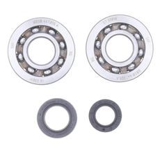 CRANKSHAFT REBUILDING KIT ATHENA P400210444311 (BEARING AND OIL SEAL KIT)