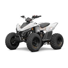 LINHAI ATV 110 EFI 2X4