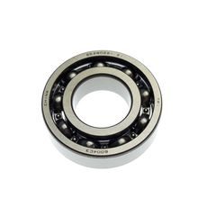 BEARING 6004