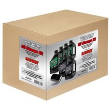 OIL CHANGE KIT + DIFF. GEARBOX - SEGWAY SNARLER AT10, FUGLEMAN UT10