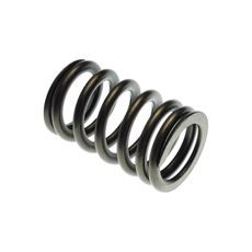 VALVE SPRING