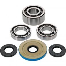 DIFFERENTIAL KIT ALL BALLS RACING DB25-2149