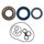 Viton oil seal kit Corteco 100640325